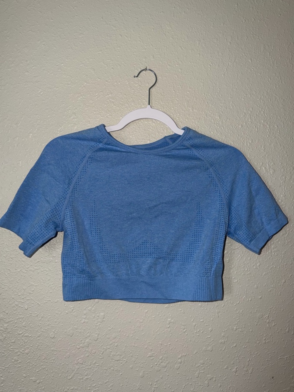 Light Blue Seamless Crop Workout Top